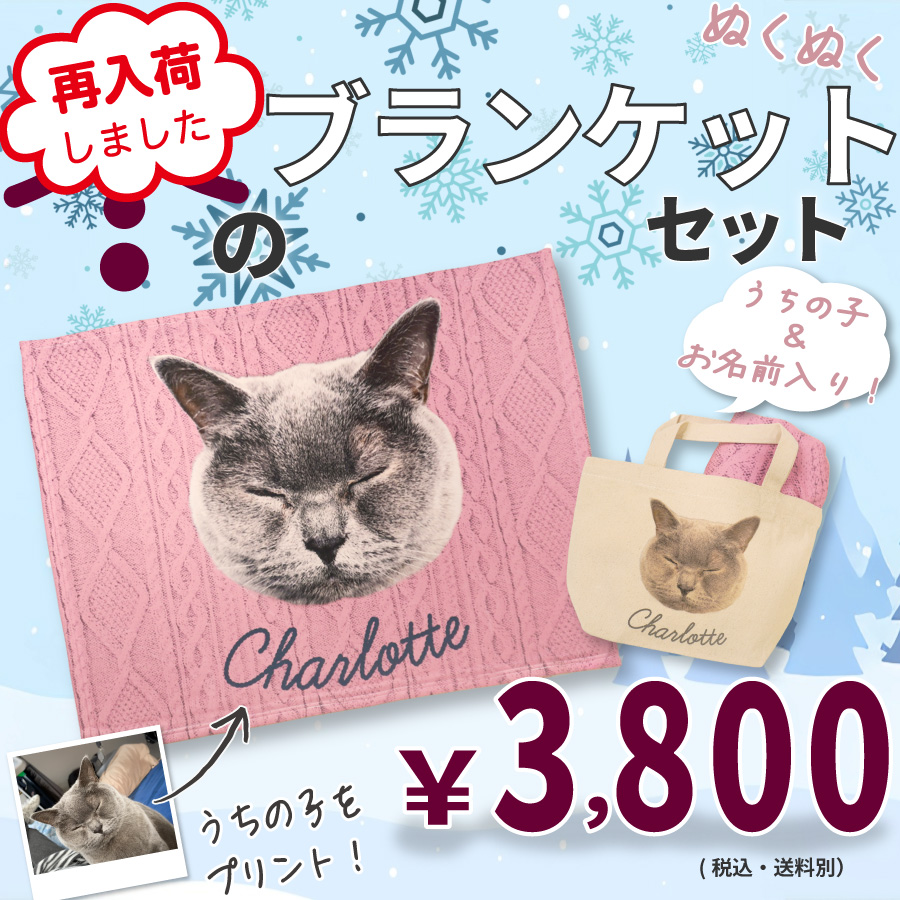 �ߤΤ̤��̤��֥�󥱥åȥ��å�