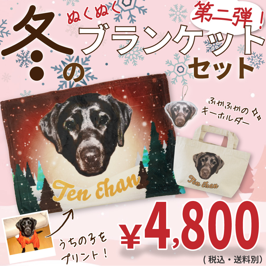 ߤΤ̤̤֥󥱥åȥå