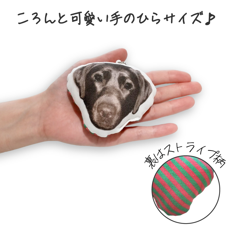 ߤΤ̤̤֥󥱥åȥå