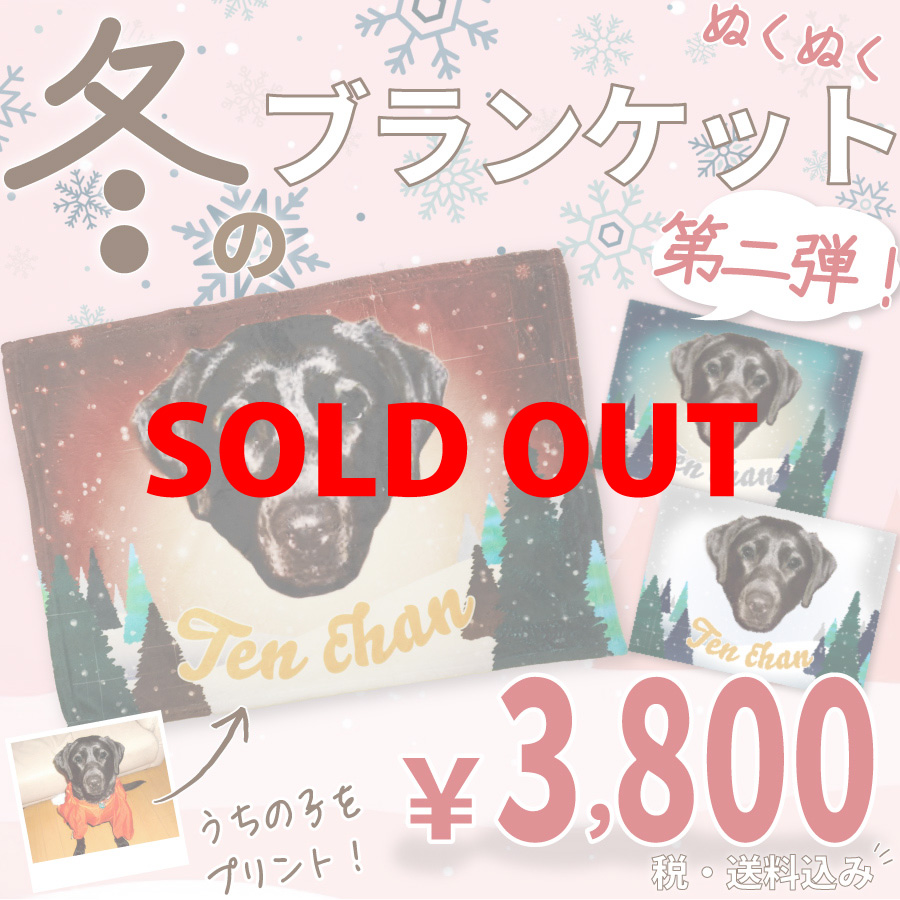 �ߤΤ̤��̤��֥�󥱥å�������