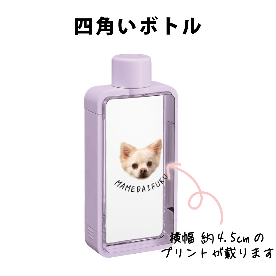 ͼ줪ݻͳѤܥȥ