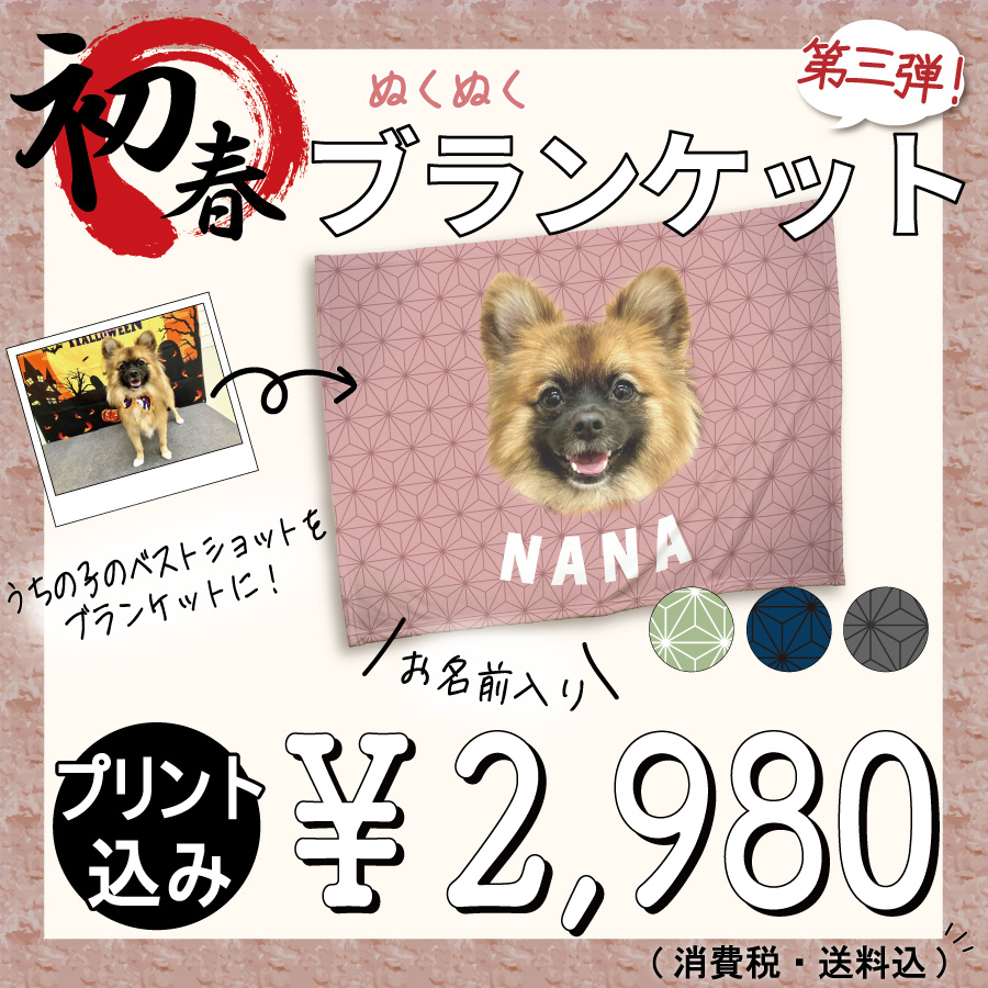 �̤��̤��֥�󥱥å��軰��