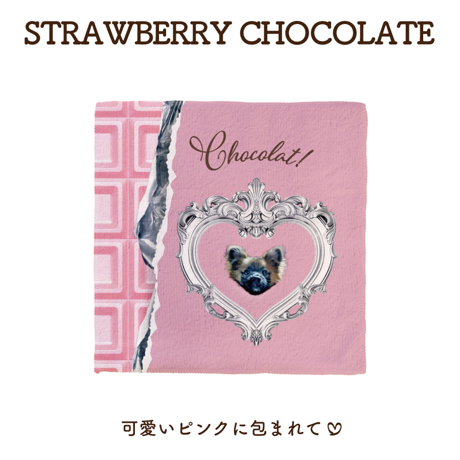 2026�Х�󥿥�����ۥ磻�ȥǡ��ϥ󥫥�