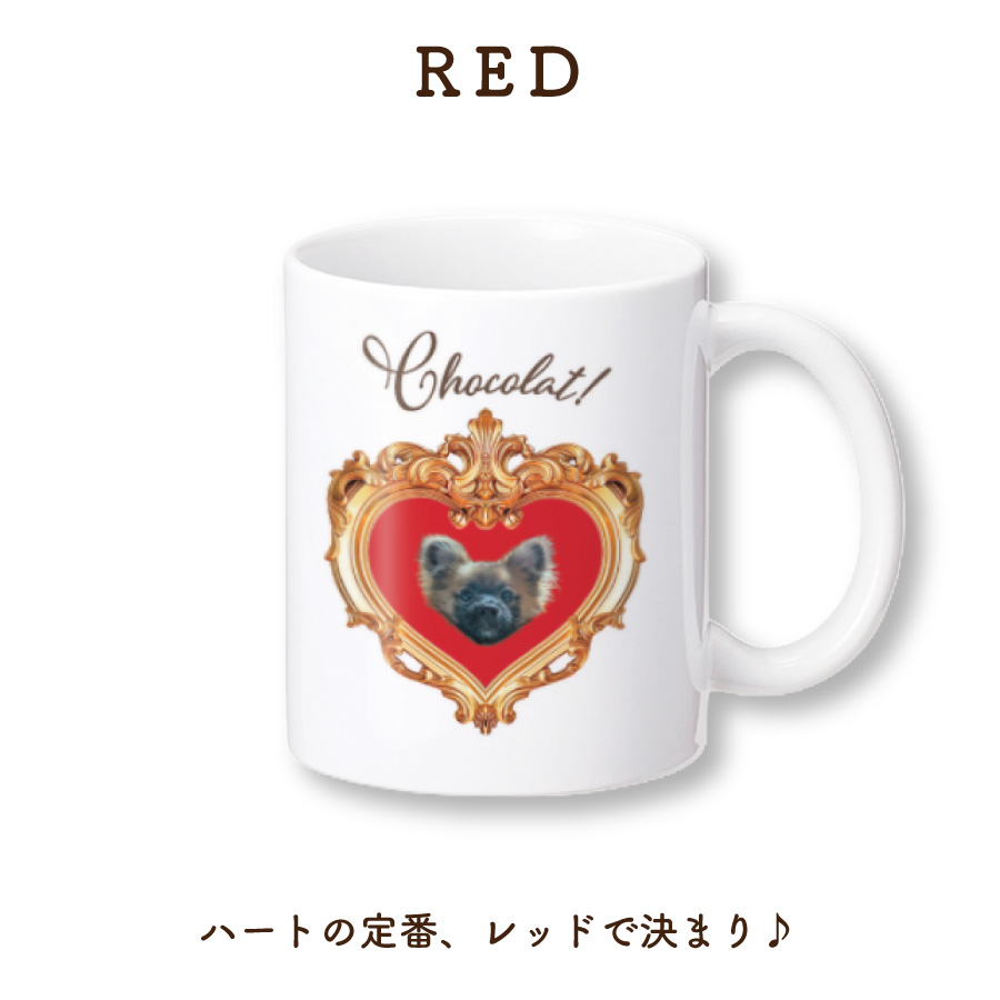 2026�Х�󥿥�����ۥ磻�ȥǡ��ޥ����å�