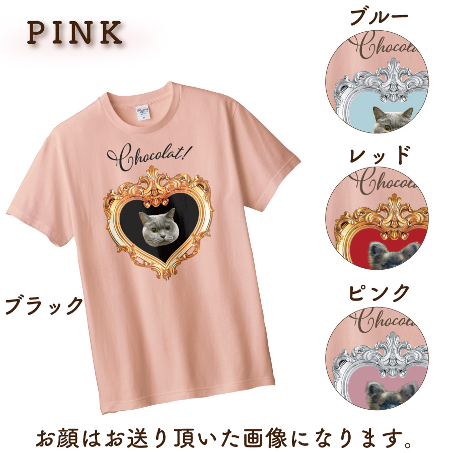 2026�Х�󥿥�����ۥ磻�ȥǡ�T�����