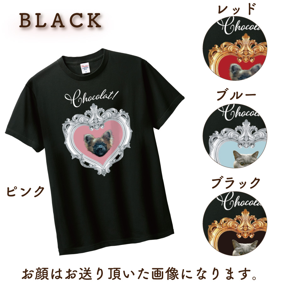 2026�Х�󥿥�����ۥ磻�ȥǡ�T�����