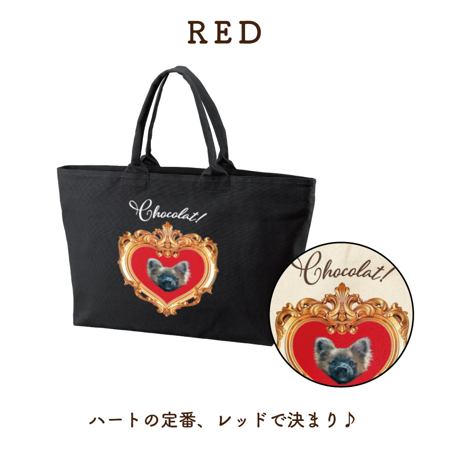 2026�Х�󥿥�����ۥ磻�ȥǡ�ZIP�Хå�