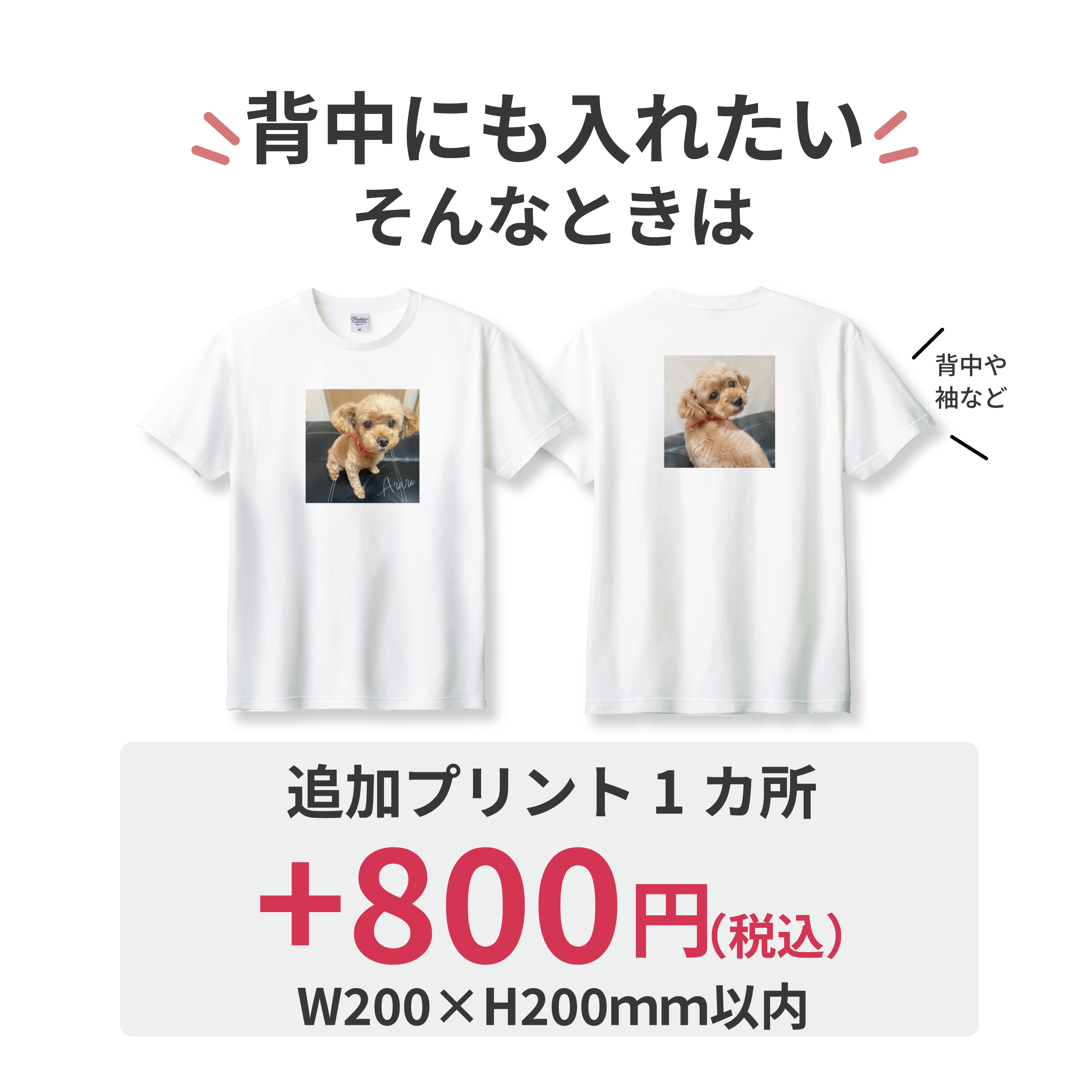 5.6���󥹥��󥰥��꡼�֣ԥ���ġ�ۥ磻�ȡ�