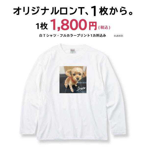 5.6���󥹥��󥰥��꡼�֣ԥ���ġ�ۥ磻�ȡ�