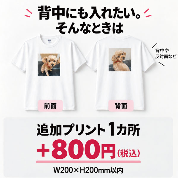 ����5.6���󥹥إ�������������T����ġ�ۥ磻�ȡ�