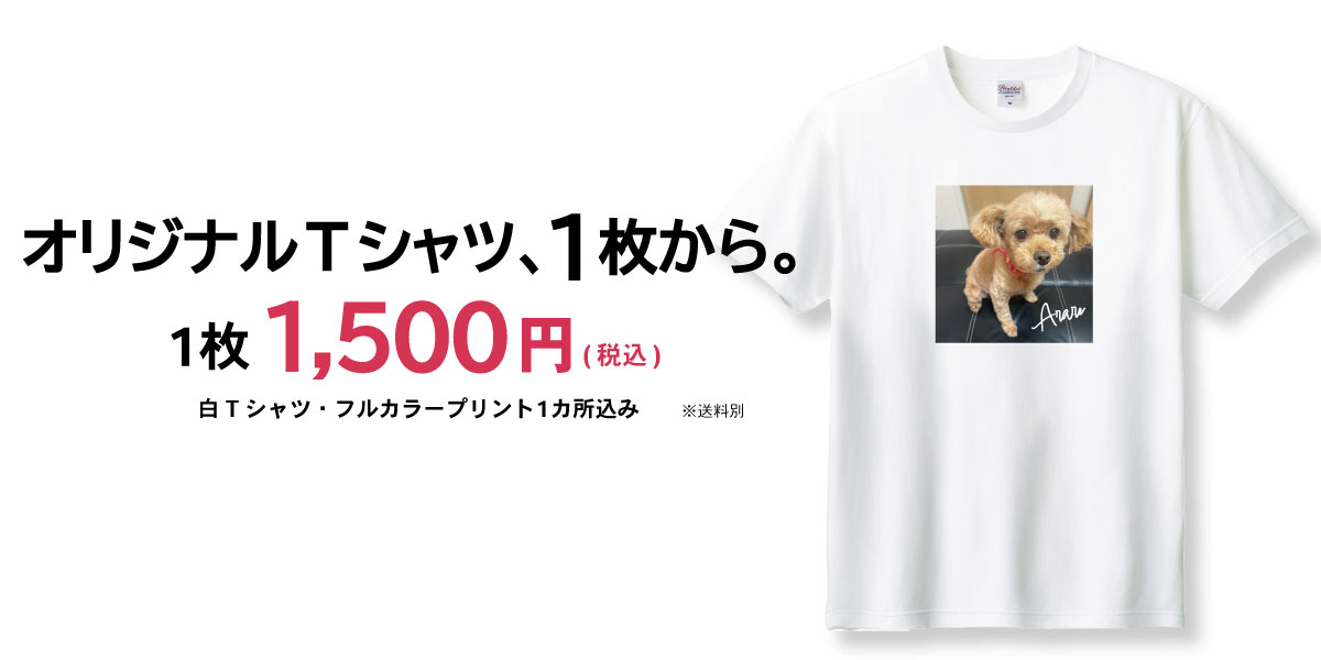 ���ꥸ�ʥ�t�����1500��
