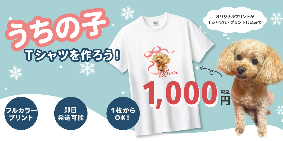 T����ĥץ��ȡ�1000��